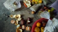Miris,Warga Merasa Kecewa Dengan Bantuan BPNT yang tidak layak konsumsi