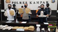 Kapolres Kampar Didampingi Kasatres Narkoba Ekspos Tangkapan 9,65 Kg Daun Ganja Kering