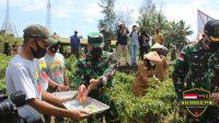 Dankolakopsrem 172 dan Masyarakat Panen di Kebun Satgas Yonif 131