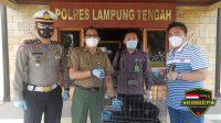 Polres Lampung Tengah Menyerahkan Hewan Satwa Yang Dilindungi Ke BKSDA