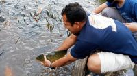 Menguak Mitos Telaga Ranjeng Paguyangan Brebes