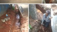 Tanpa Plang Nama,Diduga Proyek Pembangunan Drainase Tidak Transparan