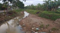 Sungai Cidurian Menyempit Dan Dangkal, Kades Jengkol : Tidak Ada Perhatian Dari PUPR Melalui BBWS C3.