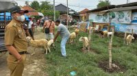 Omset Besar,Geliat Pasar Kambing Di Kecamatan Kedokanbunder Indramayu