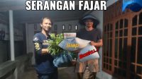 SERIKAT TANI INDONESIA Bagikan 9000 Batang Bibit Kayu Sengon