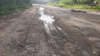 Ruas Jalan  Di Mesuji Rusak Parah,Pemprov Lampung Di Duga  Tutup Mata