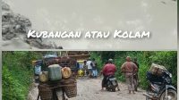 Kubangan Kerbau Atau Kolam Lele