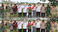 Kepala BNNP Sumsel Bersama Kepala BNNK Musi Rawas Lakukan Penanaman Padi Secara Organik