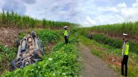 Polisi Ungkap Penyebab Kecelakaan di Jalan Lintas Rawa Jitu Yang Akibatkan Tiga Orang Luka