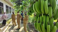 Antisipasi Gagal Panen Raya,Camat Kedokanbunder Ingatkan Petani