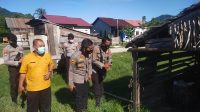 Pencegahan PMK,Kapolres Kayong Serta Tim Satgas Aman Nusa II Lakukan Pemantauan dan Penyemprotan Kandang Sapi