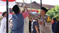 Polres Mura Sambut Hari Raya Qurban 1443 Hijriah, Lakukan Pemotongan Qurban Sedikitnya 21 Ekor