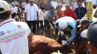 Polres Tulang Bawang Sembelih 8 Ekor Hewan Kurban di Hari Raya Idul Adha 1443 H