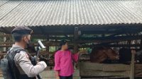 Himbauan Kasat Samapta Polres Tulang Bawang Kepada Pemilik Hewan Ternak