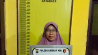 Wanita 44 Th Diciduk Polsek Kampar Kiri, Dugaan Perjudian Online
