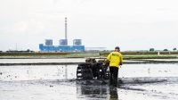 Baiknya Pengelolaan Lingkungan,PLTU Indramayu Raih Proper Hijau