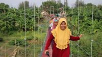 Aktivitas Perekonomian Warga Lancar Adanya Jembatan Gantung Karangasem