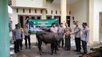 Kapolresta Cilacap Laksanakan Penyerahan Hewan Qurban Sebagai Wujud Kepedulian Sosial