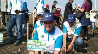 Peringari Hari Mangrove Sedunia,PLN NP Tanam Ribuan Pohon Mangrove