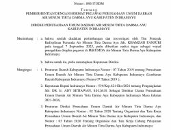 Hamzah Dipecat Usai Terpilih Jadi Ketua KNPI Kabupaten Indramayu