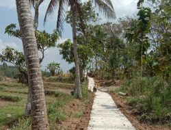 Pesona Hamparan Hijau Desa Tayem Cilacap dan Pembangunanya