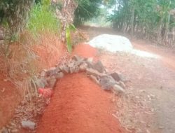 Eks Kades Negeri Galih Rejo Diduga Selewengkan Anggaran Drainase dan Jalan Lapen