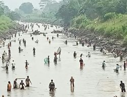 Ribuan Masyarakat Turun ke Sungai Cilopadang
