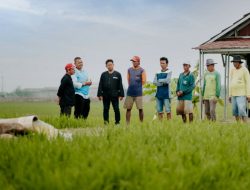 Ramah Lingkungan,Limbah PLN NP Bisa Dijadikan Pupuk Organik