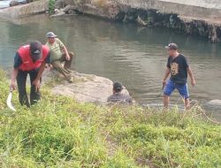 Giat Jum’at Bersih Grebek sungai dan lingkungan di Teluk Betung Barat