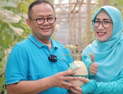 Ada Prospek di Bekasi Utara,Gani dan Istri Panen Buah Melon