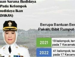 Di Tangan Bupati Nina Produksi Perikanan Capai 526. 841 Ton