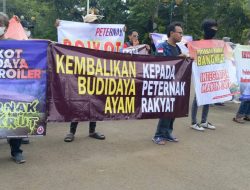 Komunitas Peternak Unggas Nasional Kembali Gelar Aksi