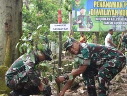 Korem 043/Gatam Tanam 6300 Batang Pohon,Hijaukan Lampung !!!