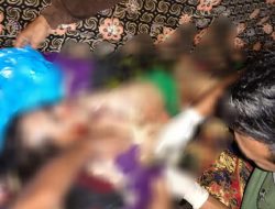 Warga Diterkam Harimau, Polda Lampung Imbau Berhati-hati