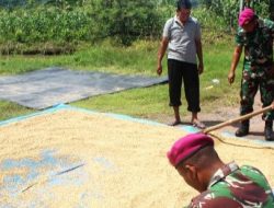 Yonif 9 Marinir Lakukan Penyuluhan Kepada Petani Binaan