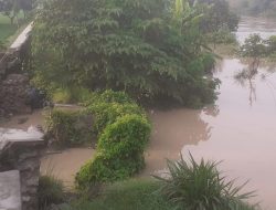 Tanggul Sungai Cimanuk desa Tersana Longsor Diam,Tanggul Jebol Pihak BBWS Survey