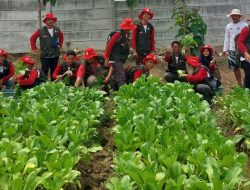 Wujudkan Pertanian Modern,1000 Petani Muda Kabupaten Indramayu Ikuti Pelatihan