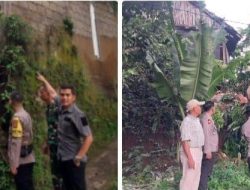 Rumah Roboh Akibat Hujan Deras Ditinjau Polsek Ciawi