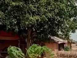 Haah !!! masih Ada Saja Desa di Wilayah Indramayu Yang Tak Teraliri Listrik ???