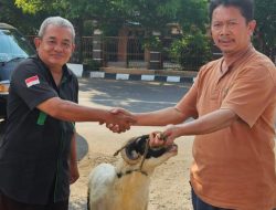 Terima Hewan Kurban dari RU VI Balongan,Sekber FWI Ucapkan Terimakasih