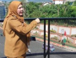 Walikota Bandar Lampung Tinjau Pembangunan JPO Siger Milenial