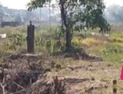 Team Investigasi WN88 Minta APH Usut Rubahnya Tanah Kas Desa Srimukti