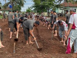 Siapkan Taman Urban Farming, Prajurit Korem 042/Gatam Gotong Royong