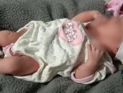 Warga Sindang Indramayu Temukan Bayi dalam Kardus,Masih Ada Tali Pusar