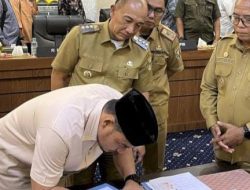 Hasil Keputusan Bersama Harga Singkong di Lampung Rp1400/Kg