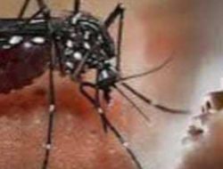 Minta Perhatian Pemerintah,Wabah DBD Serang Warga Sungkai Tengah