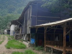 Warga Keluhkan Bau Tak Sedap dari Peternakan Ayam,Diduga Tidak Miliki izin