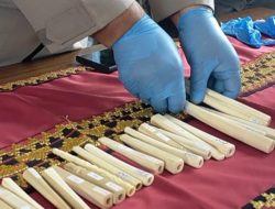 Polda Lampung Ingatkan Warga Hindari Jual Beli Bagian Satwa Dilindungi