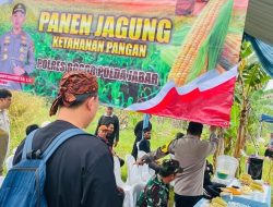 Kepolisian Bogor Panen Jagung di Lahan SSDM Polri,Dukung Ketahanan Pangan Nasional