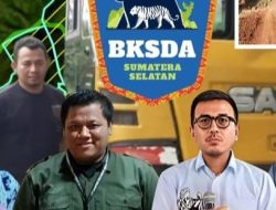 Diduga Alat Berat Milik Anggota DPRD Lampung Barat,BKSDA Sumsel Lapor ke Kemenhut RI